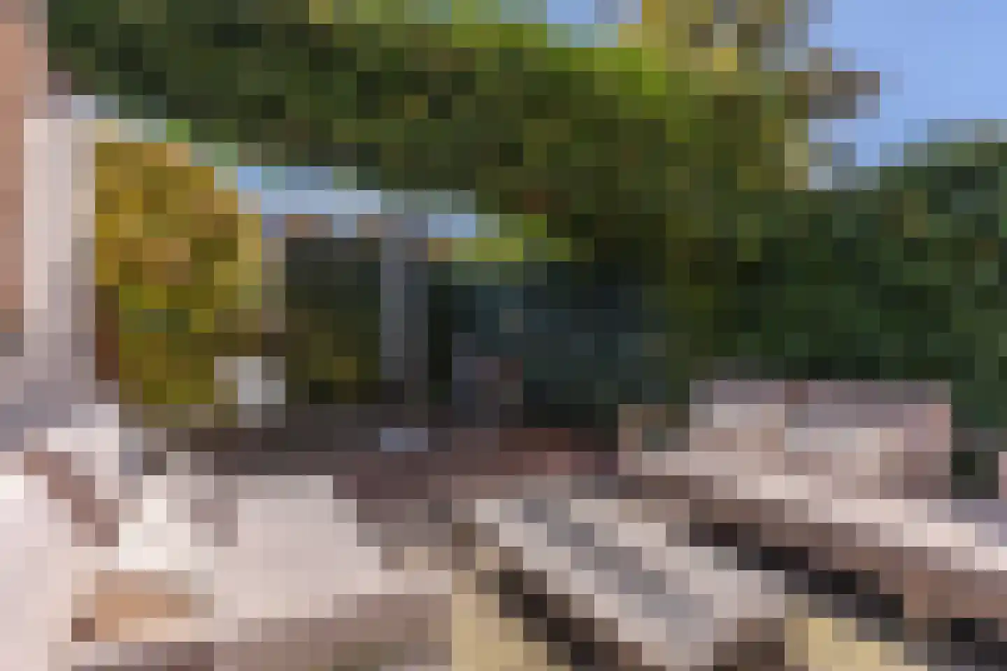 Sneeuwjacht 17 Elst thumbnail 23
