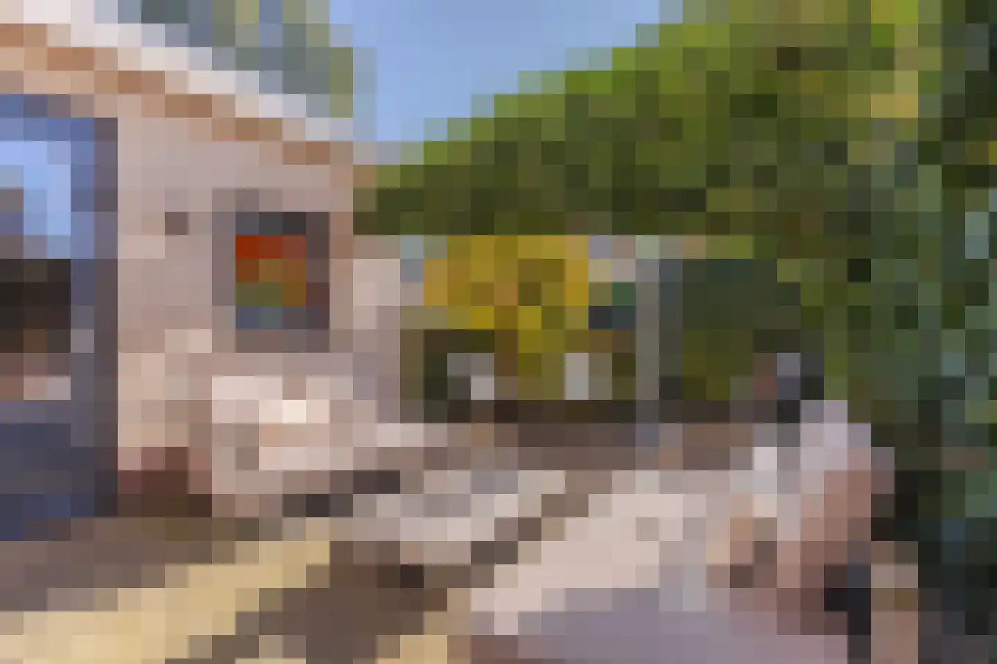 Sneeuwjacht 17 Elst thumbnail 24