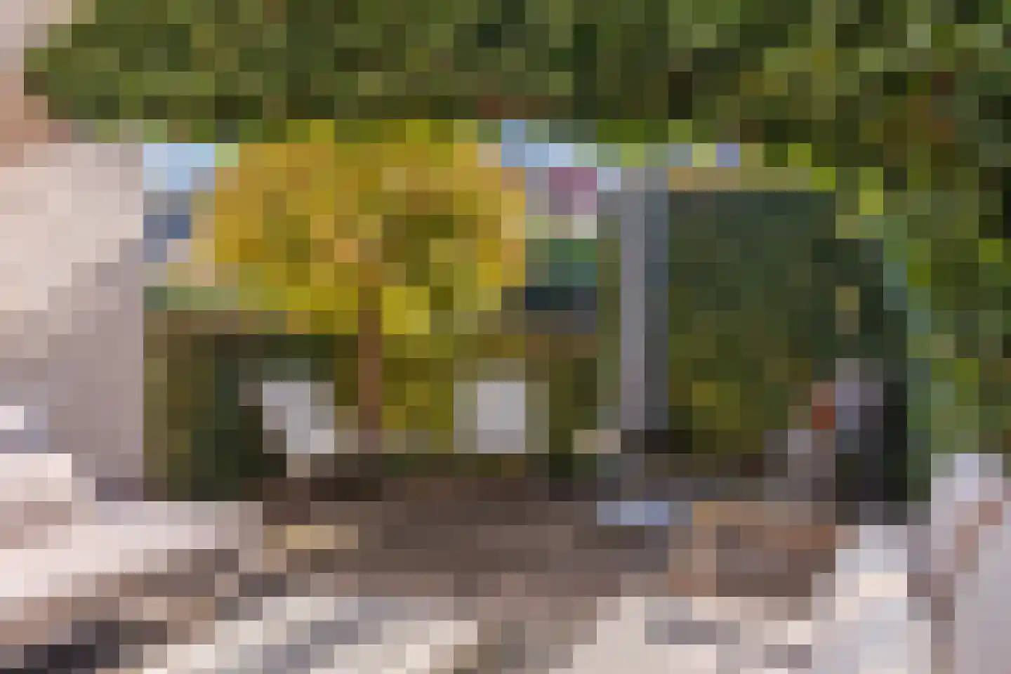 Sneeuwjacht 17 Elst thumbnail 25