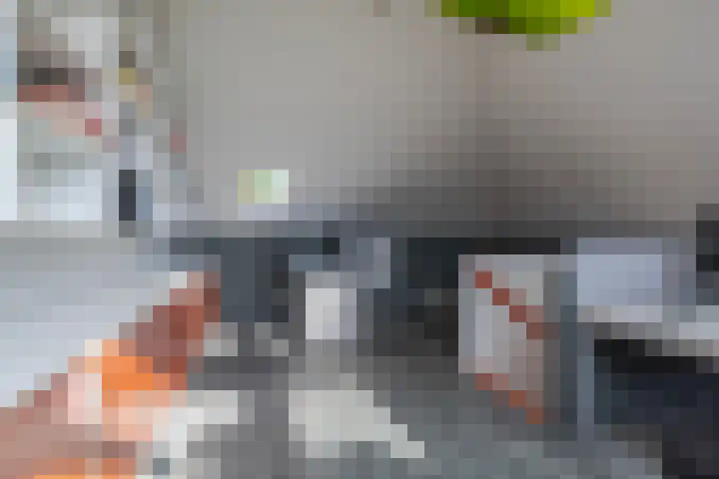 Sneeuwjacht 17 Elst thumbnail 40