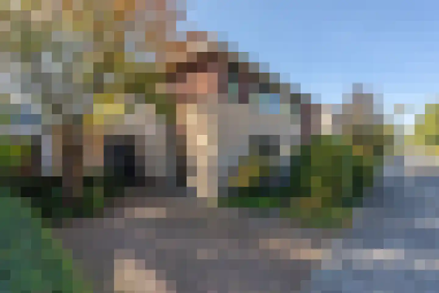 Sneeuwjacht 17 Elst thumbnail 44
