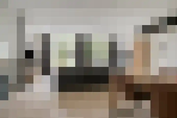 Sneeuwuil 14 Mierlo thumbnail 10