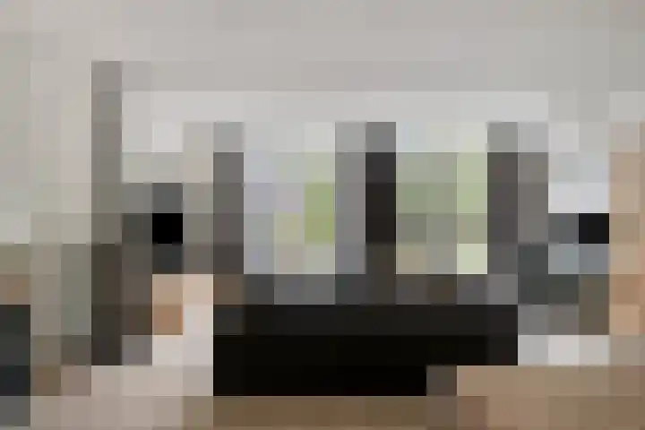 Sneeuwuil 14 Mierlo thumbnail 11