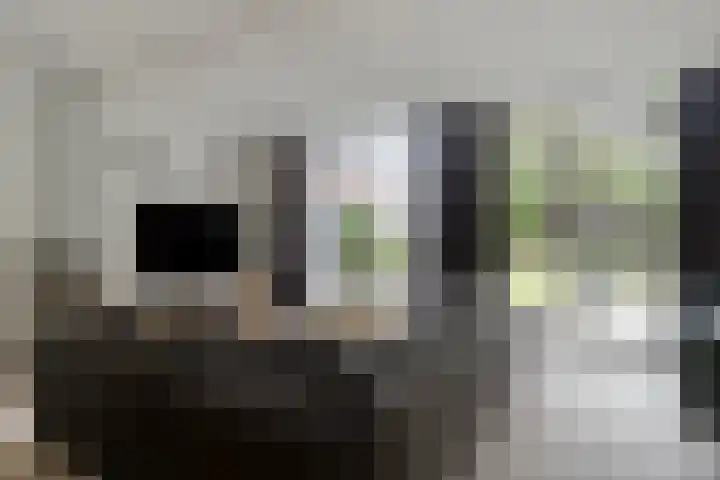 Sneeuwuil 14 Mierlo thumbnail 12