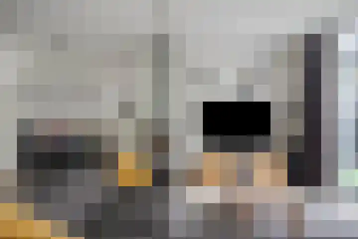 Sneeuwuil 14 Mierlo thumbnail 13