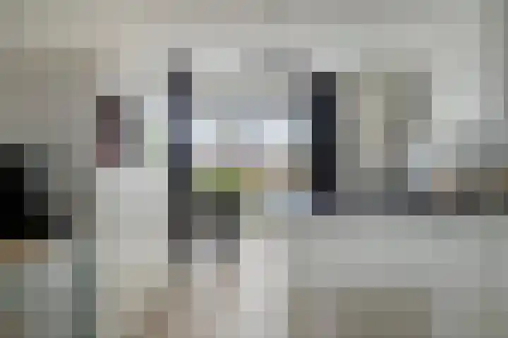 Sneeuwuil 14 Mierlo thumbnail 16