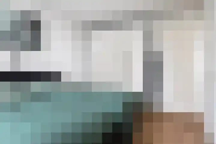 Sneeuwuil 14 Mierlo thumbnail 21