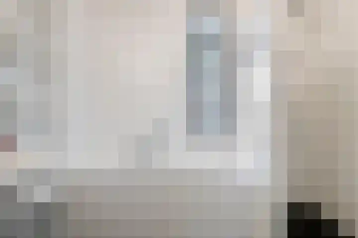 Sneeuwuil 14 Mierlo thumbnail 26
