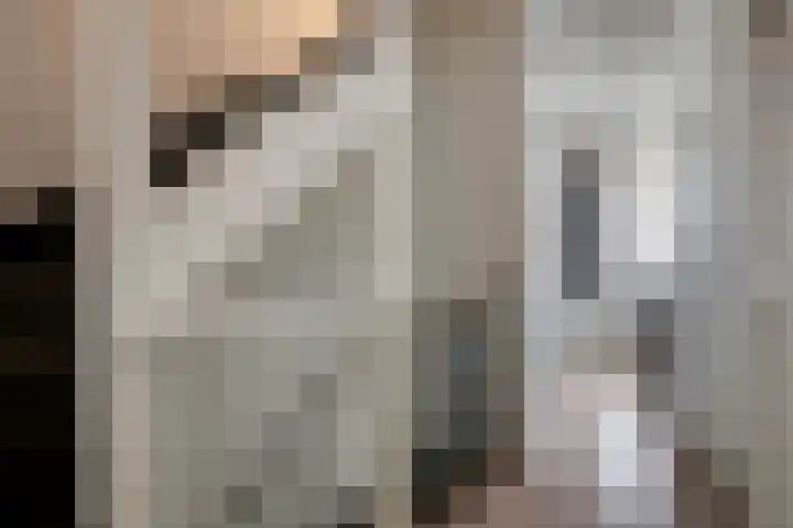 Sneeuwuil 14 Mierlo thumbnail 27