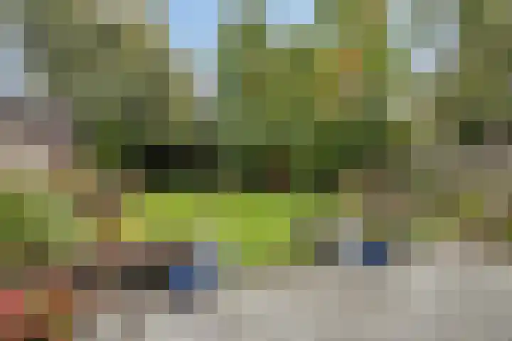 Sneeuwuil 14 Mierlo thumbnail 30