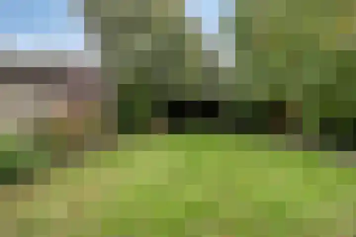 Sneeuwuil 14 Mierlo thumbnail 31