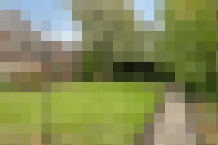 Sneeuwuil 14 Mierlo thumbnail 32