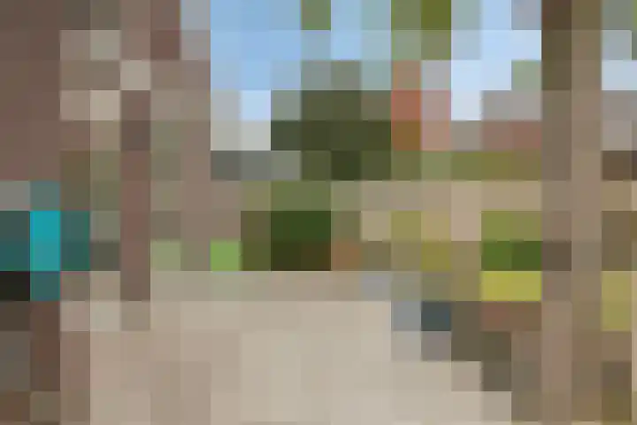 Sneeuwuil 14 Mierlo thumbnail 33