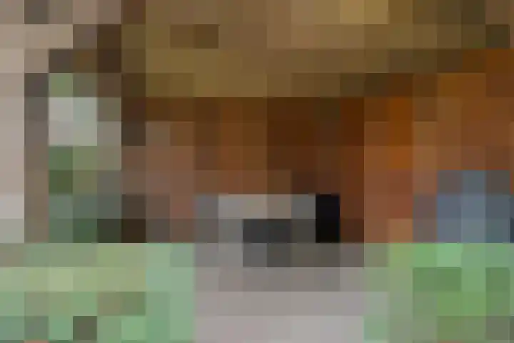 Sneeuwuil 14 Mierlo thumbnail 34