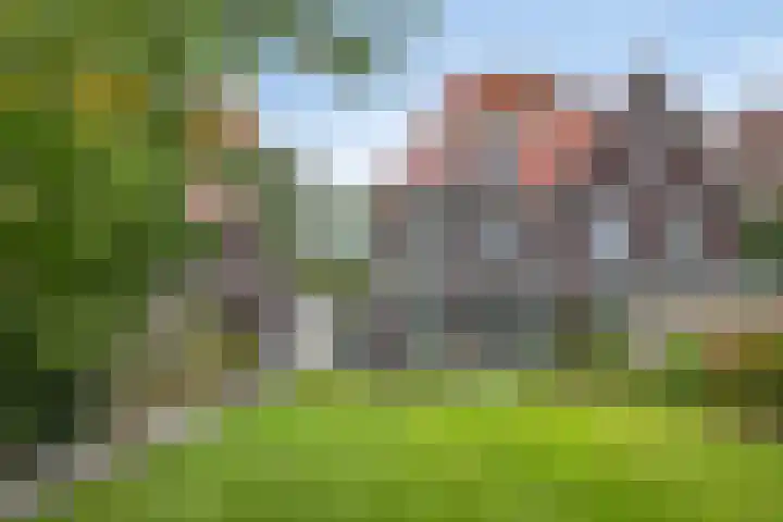 Sneeuwuil 14 Mierlo thumbnail 35