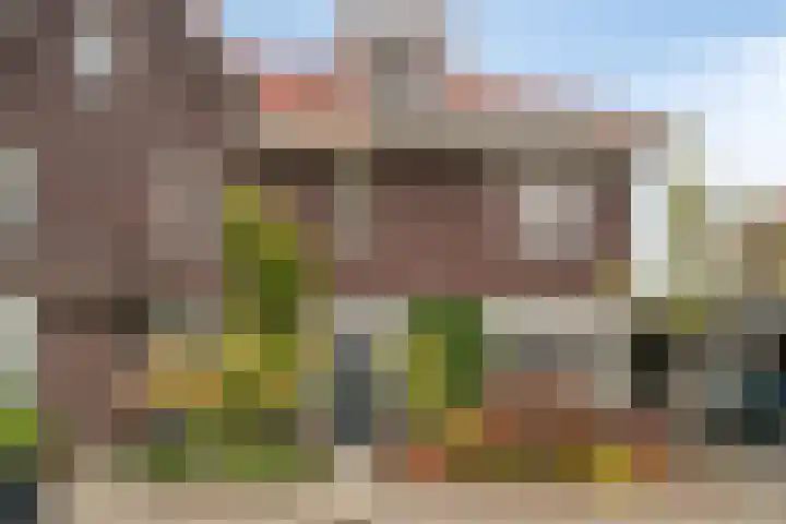 Sneeuwuil 14 Mierlo thumbnail 36