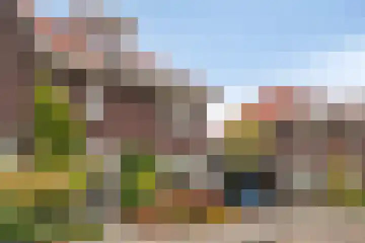 Sneeuwuil 14 Mierlo thumbnail 37