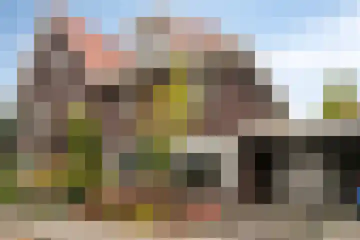 Sneeuwuil 14 Mierlo thumbnail 38
