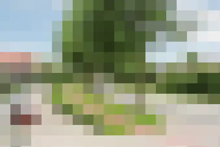 Sneeuwuil 14 Mierlo thumbnail 39