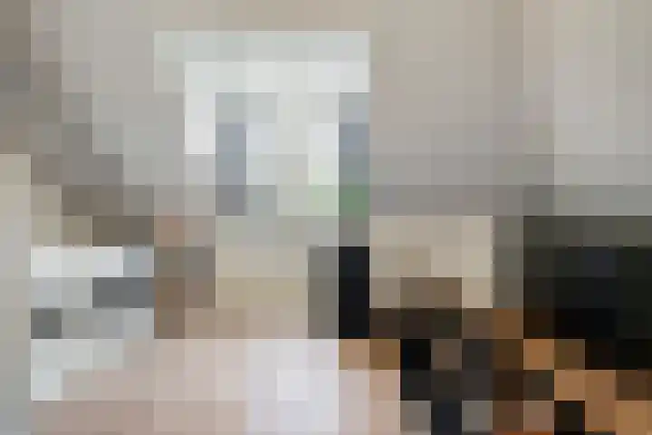 Sneeuwuil 14 Mierlo thumbnail 4