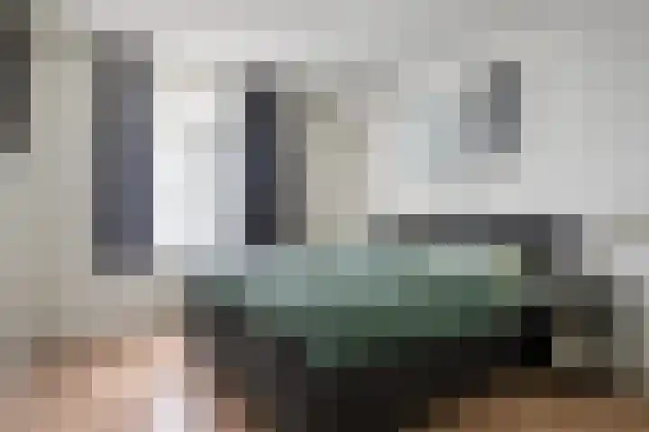 Sneeuwuil 14 Mierlo thumbnail 5