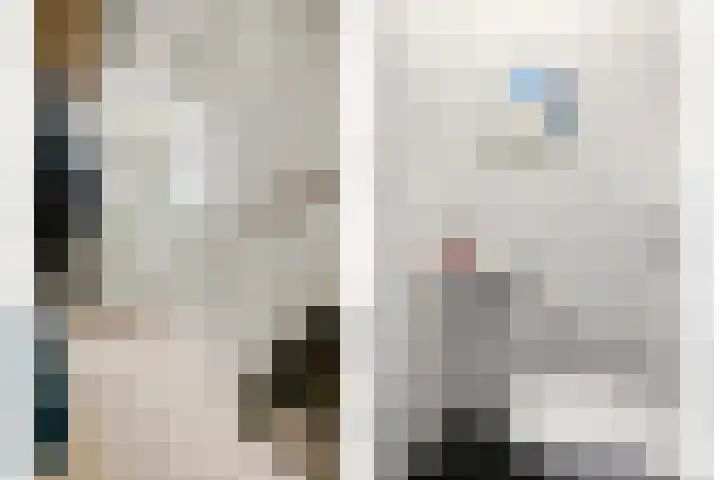 Sneeuwuil 14 Mierlo thumbnail 9