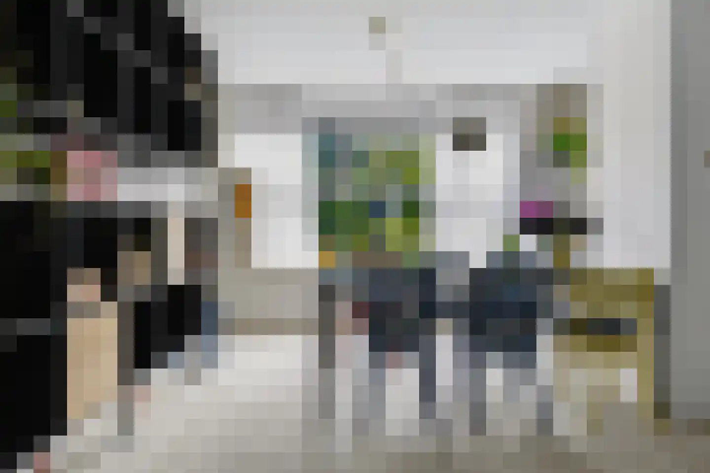 Sneeuwuil 15 Emmen thumbnail 13