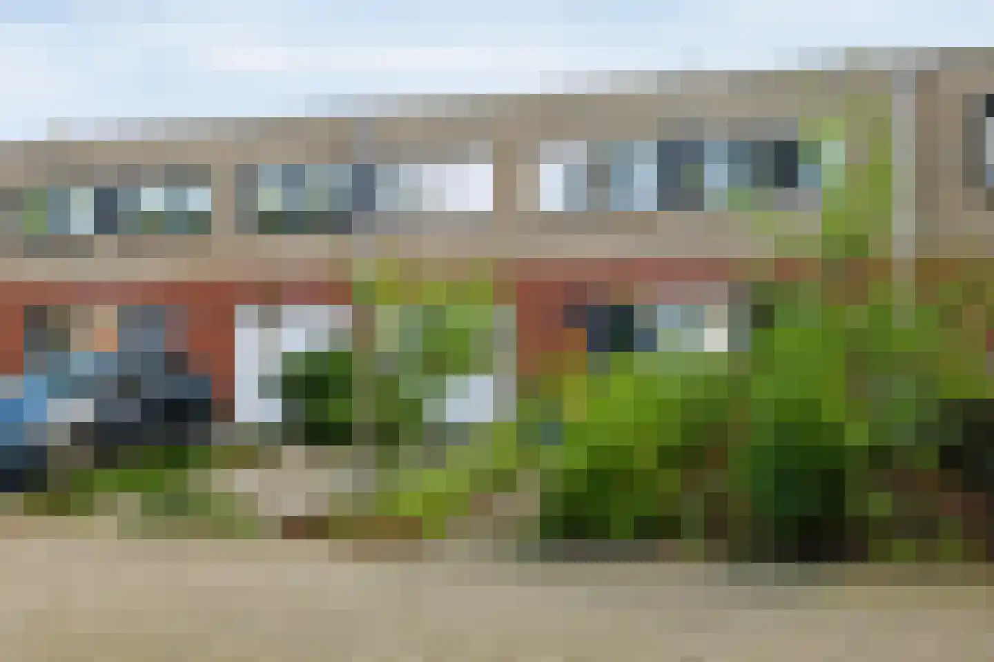 Sneeuwuil 15 Emmen thumbnail 31