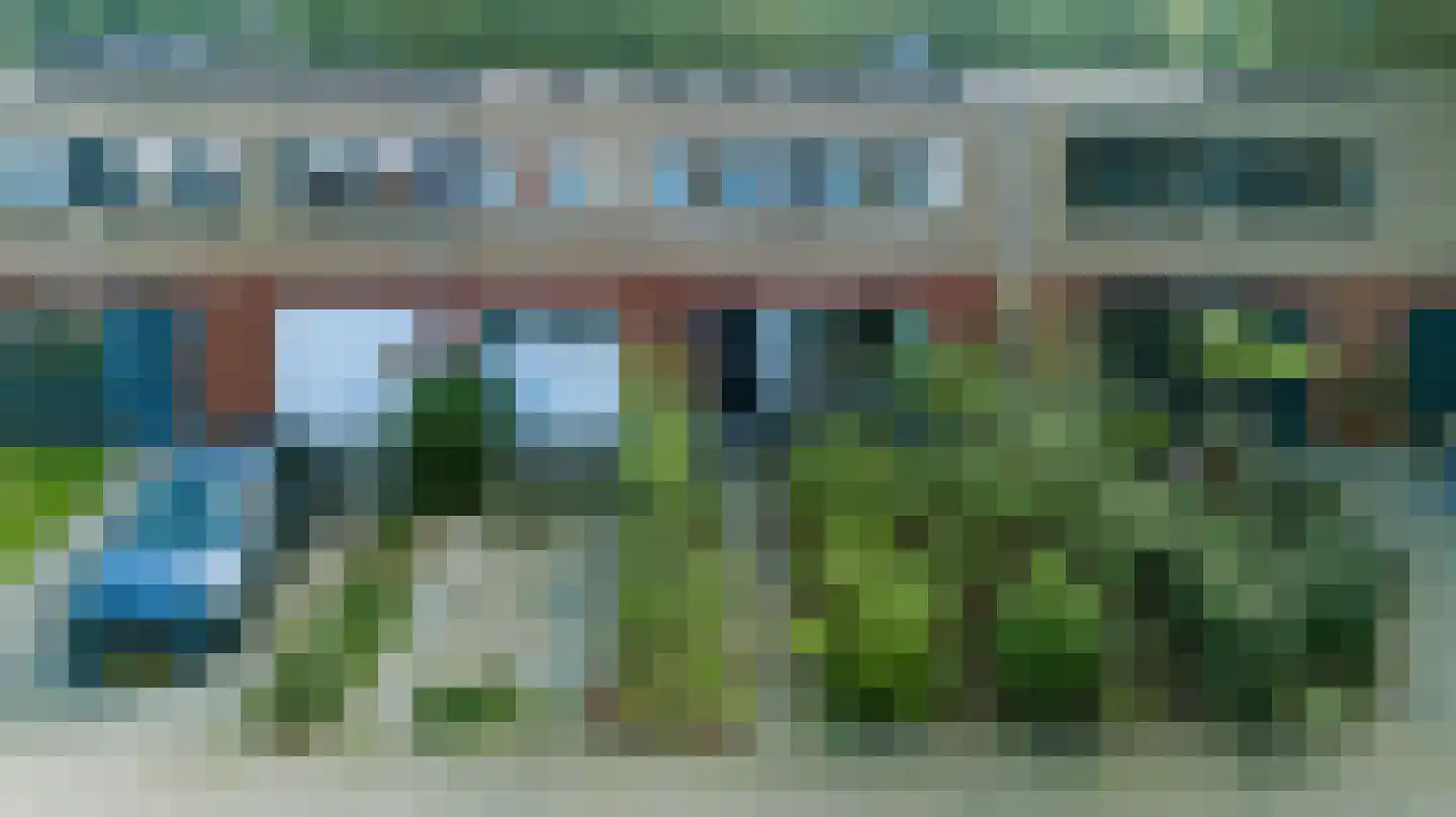 Sneeuwuil 15 Emmen thumbnail 34