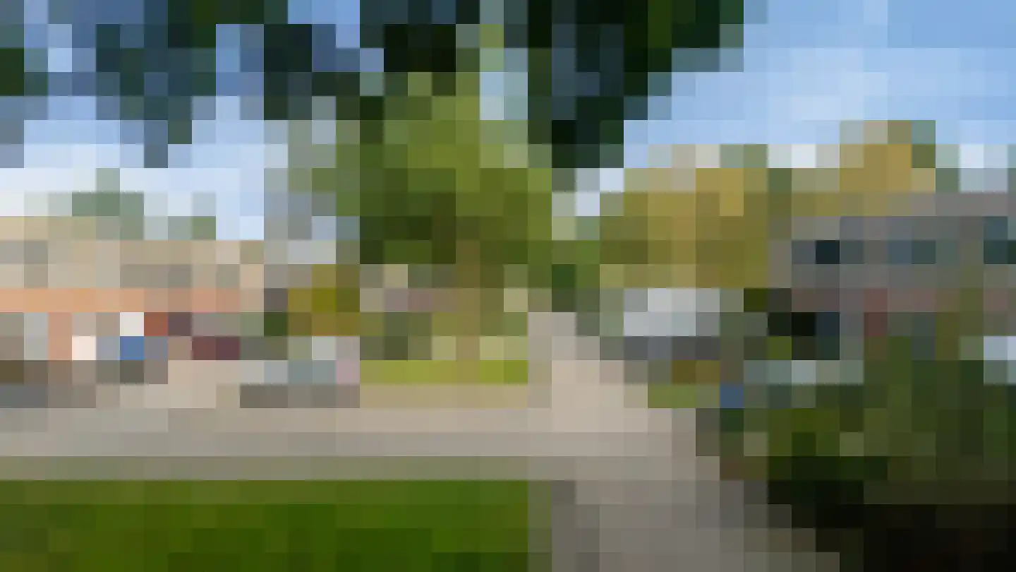 Sneeuwuil 15 Emmen thumbnail 37