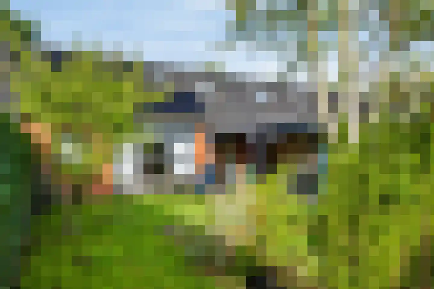 Sneeuwuil 15 Emmen thumbnail 5