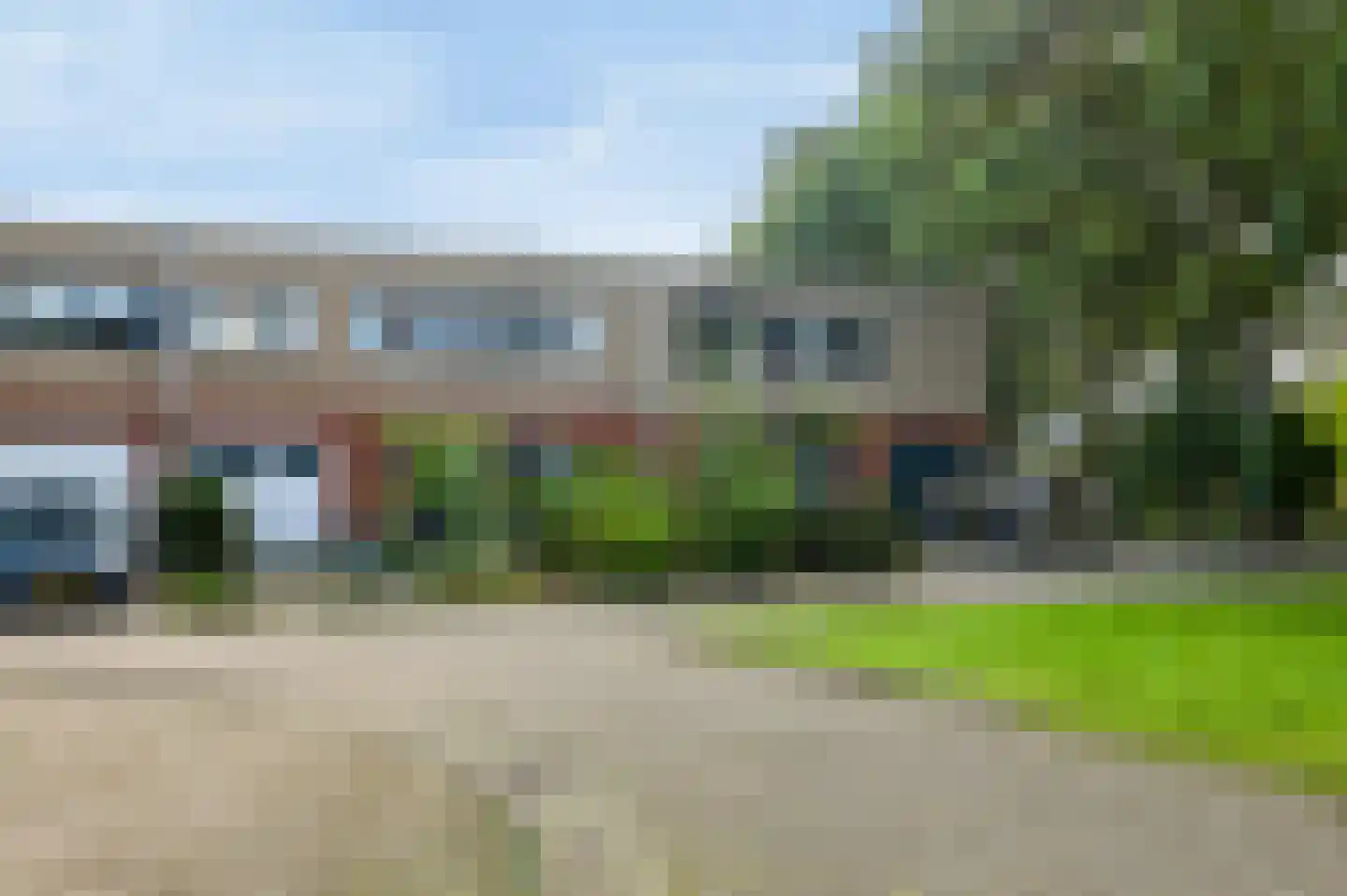 Sneeuwuil 15 Emmen thumbnail 6