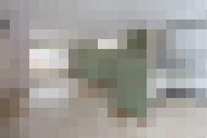 Sneeuwuil 31 Emmen thumbnail 11