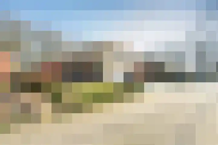 Sneeuwuil 31 Emmen thumbnail 33