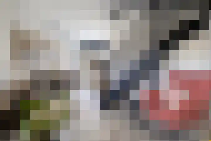 Sneeuwuil 4 Emmen thumbnail 13