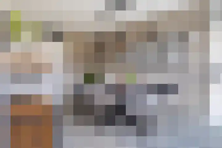 Sneeuwuil 4 Emmen thumbnail 15
