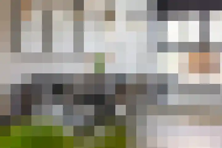 Sneeuwuil 4 Emmen thumbnail 19