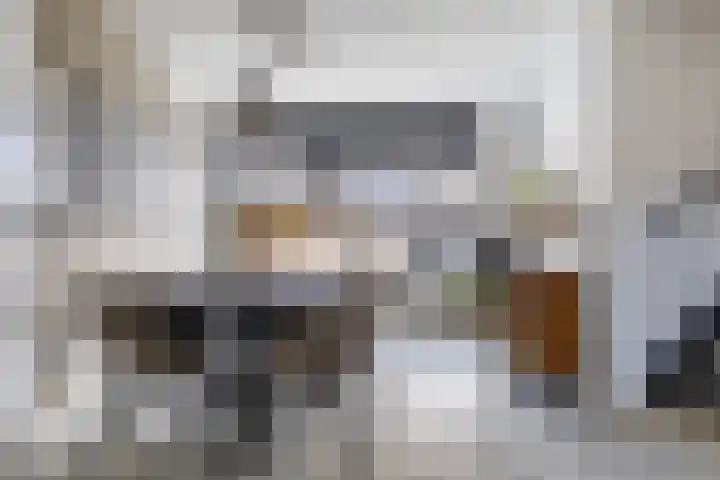 Sneeuwuil 4 Emmen thumbnail 20