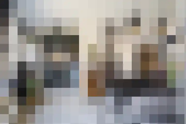 Sneeuwuil 4 Emmen thumbnail 23