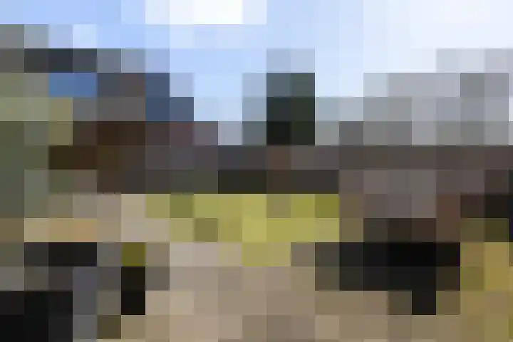 Sneeuwuil 4 Emmen thumbnail 27