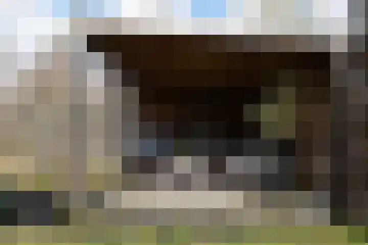 Sneeuwuil 4 Emmen thumbnail 29