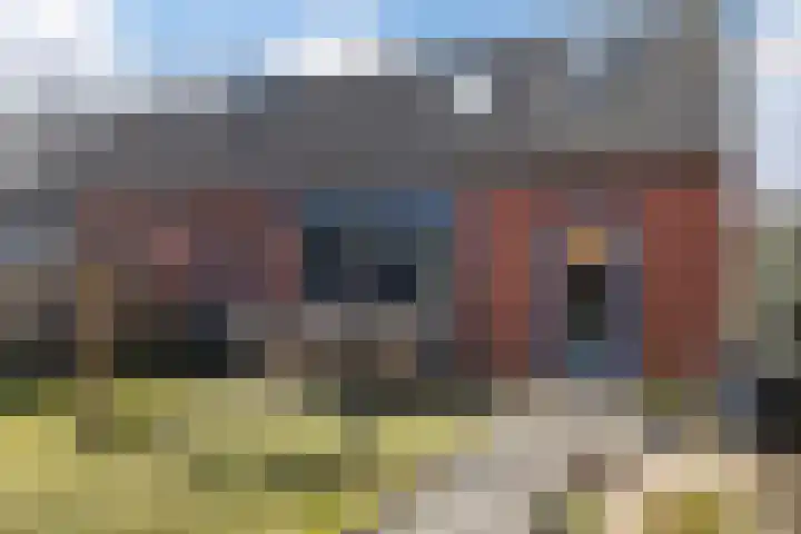 Sneeuwuil 4 Emmen thumbnail 30