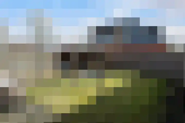 Sneeuwuil 4 Emmen thumbnail 31