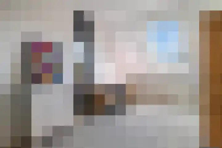 Sneeuwuil 4 Emmen thumbnail 36