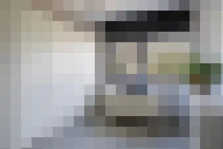 Sneeuwuil 4 Emmen thumbnail 37