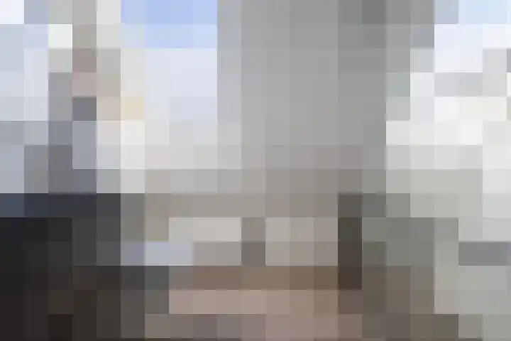 Sneeuwuil 4 Emmen thumbnail 39
