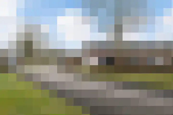 Sneeuwuil 4 Emmen thumbnail 4