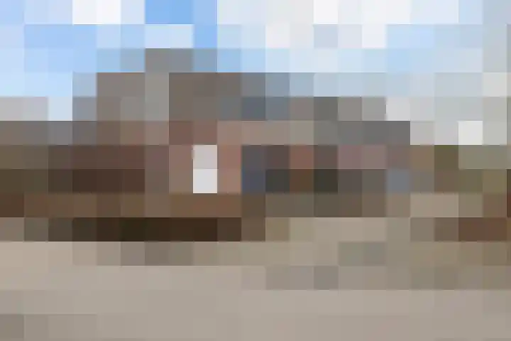Sneeuwuil 4 Emmen thumbnail 5