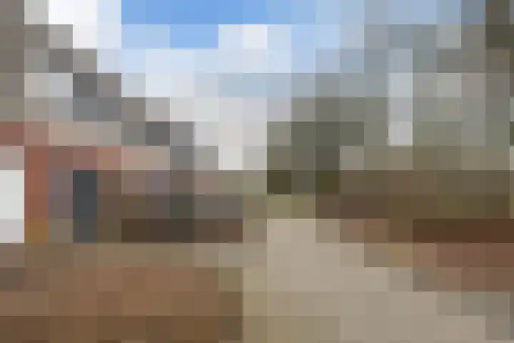 Sneeuwuil 4 Emmen thumbnail 6