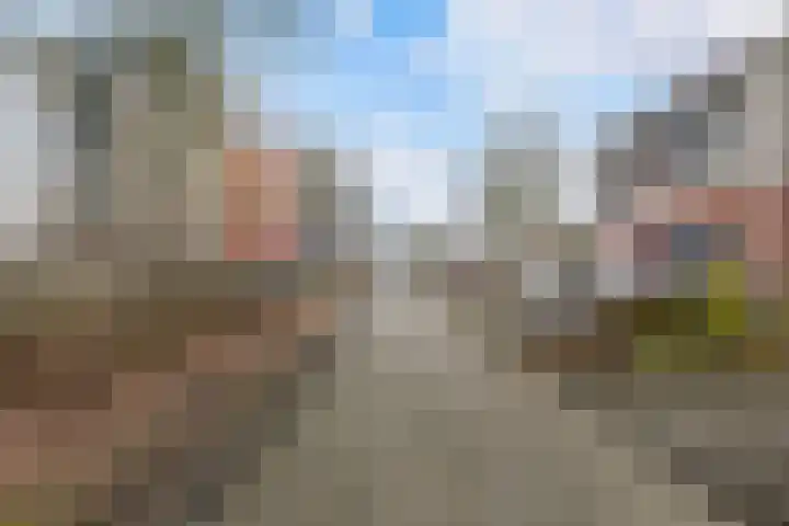 Sneeuwuil 4 Emmen thumbnail 7